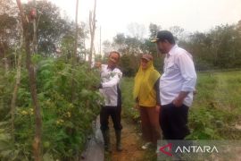 DKP2TPH Tabalong berikan bantuan alsintan lima kampung hotikuktura