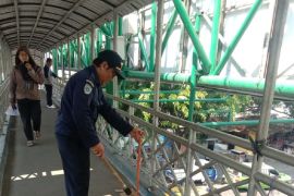 Petugas harian diterjunkan Dishub Kota Tangerang rawat 17 JPO