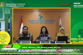 BPS: Jakarta lebih berhasil dalam kesetaraan gender dibanding nasional
