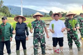 Owner "Syaakira View and Resto" inisiasi penanaman benih padi bersama Danrem 023/KS