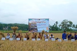 Sekolah lapang iklim operasional mampu tingkatkan kuantitas pertanian di Solok