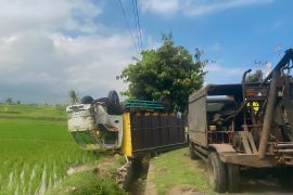 Polisi tangani kecelakaan beruntun di Jembrana tewaskan satu orang