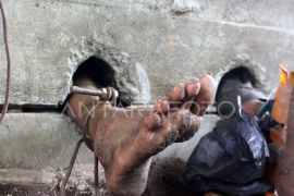 Syamsuar : Penderita gangguan jiwa bukan aib