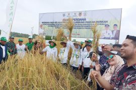Kemendes panen perdana program lumbung bangan berkah di Barito Kuala