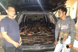 Masyarakat TNUK serahkan ratusansenjata api rakitan ke Polda Banten