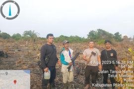Polisi ringkus dua dalang kebakaran lahan di Rohil