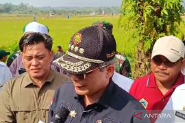 Kementan minta BUMD lebih giat menjalankan usaha produktif