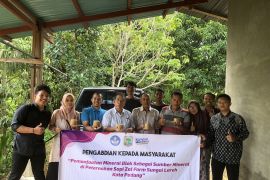 PkM Fakultas Peternakan Unand, Pemanfaatan Mineral Blok sebagai Sumber Mineral di Peternakan Sapi Zal Farm Sungai Lareh Kota Padang