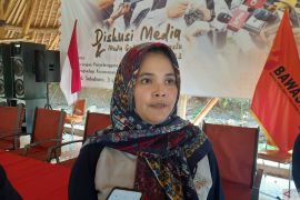 Bawaslu menilai pemekaran di Papua mudahkan proses mitigasi Pemilu