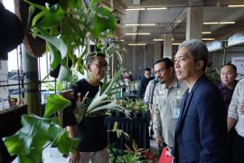 Pemkot dorong Flora Festival perkuat Kota Bogor jadi sentra tanaman hias