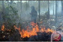 BPBD Ponorogo imbau warga tingkatkan kewaspadaan potensi karhutla