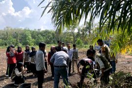 KKN UIN Suska Riau tanam 1.000 pohon di Sungai Apit Siak