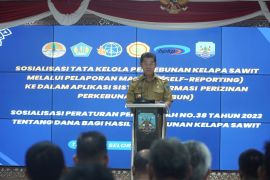 Kehadiran perusahaan sawit dapat perhatian Wagub Kaltara