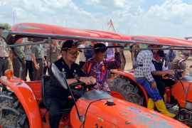 Hadapi fenomena El Nino, Mentan pastikan kebutuhan beras nasional aman