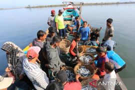 Produksi perikanan tangkap di Sabang, Aceh capai 4.433 ton, begini penjelasannya