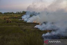 Ada 717 titik panas di Sumatera, termasuk Riau