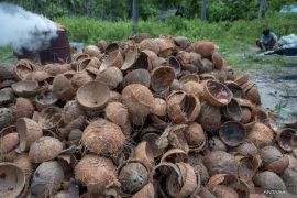 Tidak ada yang terbuang dari kelapa di Desa Trenten Magelang