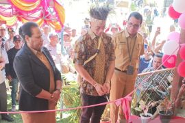 Mahasiswa KKN UGM Yogyakarta renovasi perpustakaan SD Inpres Waryesi Supiori