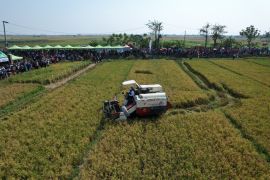 Sukses tingkatkan mutu pertanian, Wagub Jabar apresiasi kinerja program CSA Kementan