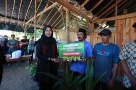 Kembali jalani "Bunga Desa", Bupati Ipuk ngantor di Desa Kluncing