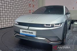 Hyundai, NaaS bermitra hadirkan pengisian kendaraan listrik di China