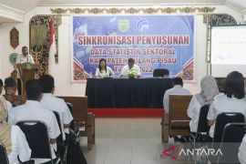 Diskominfostandi Pulang Pisau sinkronisasikan pemenuhan data standar