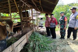 Desa Uwie alokasikan 20 persen ADD untuk program ketahanan pangan