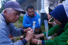 Menyambung alpukat, menyambung silaturahmi