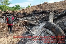 Kebakaran hutan dan lahan di sekitar IKN dipastikan padam