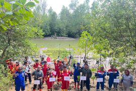 SKK Migas Kalimantan-Sulawesi sudah tanam lebih  200 ribu pohon