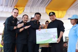 Meski dilanda COVID-19 dan banjir, Mujiyat bersyukur tanaman padi di Batola bisa berhasil