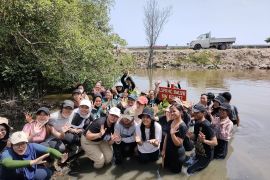 Mahasiswa pegiat lingkungan tanam 350 bibit bakau di Kolam Labuh Retensi Cilincing