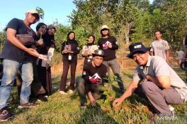 Ekspedisi Meratus 2023 tanam 1.000 pohon produktif