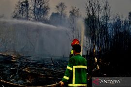 Berjibaku menaklukkan karhutla yang terus berulang