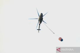 Enam helikopter diusulkan BPBD Kalsel antisipasi karhutla