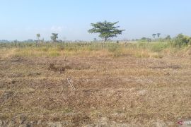 BBMKG: Seluruh daerah Kabupaten Buleleng siaga kekeringan