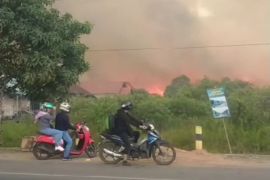 Karhutla meluas di Kecamatan Liang Anggang Banjarbaru