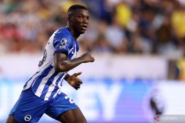 Brighton kokoh di puncak klasemen Liga Inggris usai tekuk Wolves 4-1