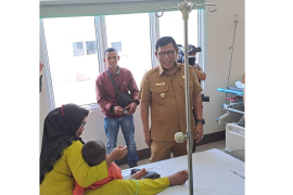 Kasus DBD mengalami lonjakan di Kayong Utara