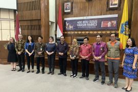 Bali dapat 200 ribu dosis vaksin rabies dari Australia