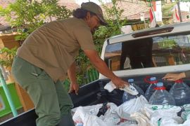 BBKSDA Jatim terima 14 ekor ular hasil penyelamatan komunitas