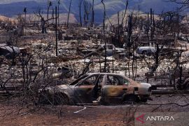 Tragedi Hawai dan sikap hadapi pemanasan global