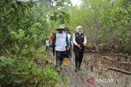 Jatim pertahankan juara umum lomba wana lestari nasional