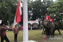 Gajah ikut kibarkan bendera Merah Putih dalam upacara HUT RIdi Riau