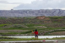 SPI Kalsel sebut petani belum merdeka dari kemiskinan