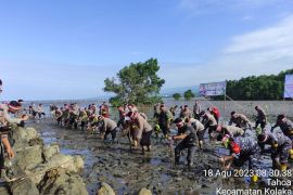 Polres Kolaka bersama Forkopimda tanam 1.000 mangrove di Tahoa Kolaka