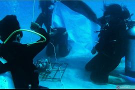 Mahasiswa kibarkan merah putih dalam laut suarakan masalah nelayan Kalsel