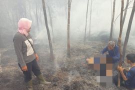 Seorang perempuan di Kapuas Hulu Kalbar tewas saat membakar lahan