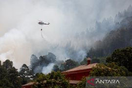 Kebakaran hutan di Spanyol meluas, ribuan warga di sejumlah wilayah dievakuasi