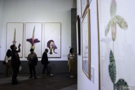 NuArt Sculpture Park dan IDSBA gelar pameran seni botani Ragam Flora Indonesia 4